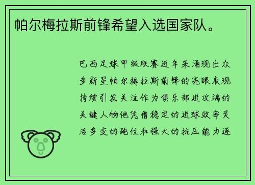 帕尔梅拉斯前锋希望入选国家队。